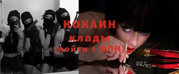 стафф Абинск